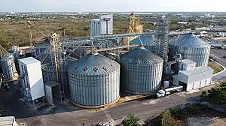Usine d'aliment piscicole — silos de stockage
